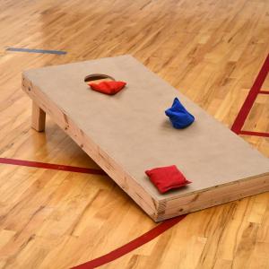 Sylvania Moose Winter Cornhole League Sign Up!
