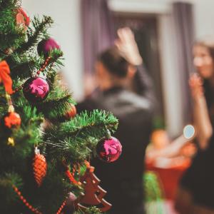 Adult Christmas Party - Potluck