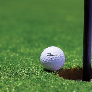 Annual Sylvania Moose Golf Outing
